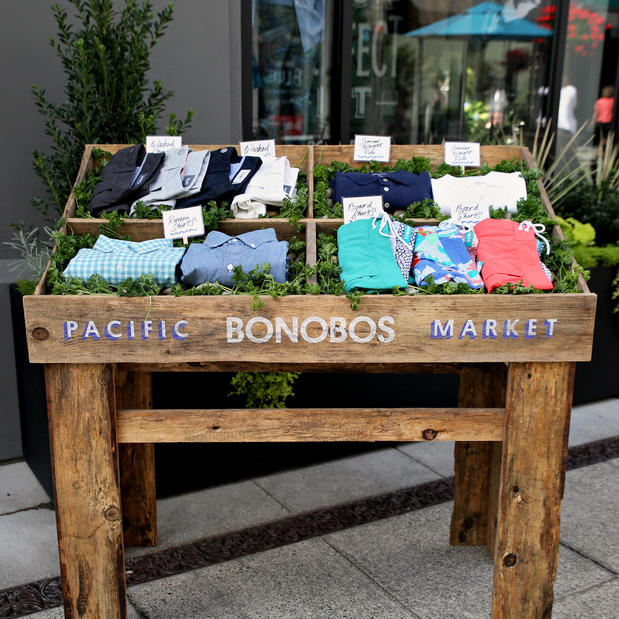 Images Bonobos