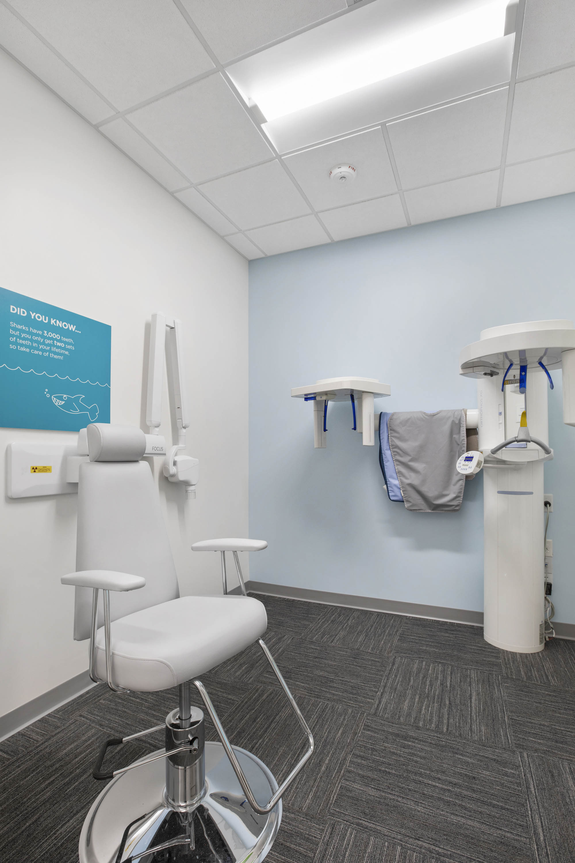 My Kid's Dentist & Orthodontics Image