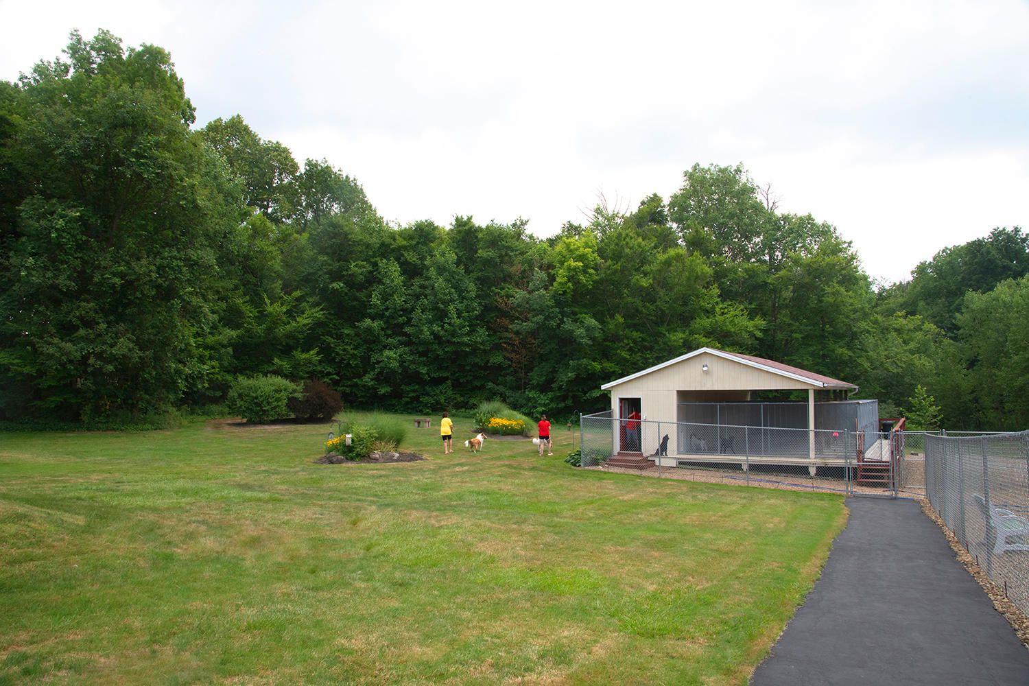 Dog Gone Crazy Kennels Photo