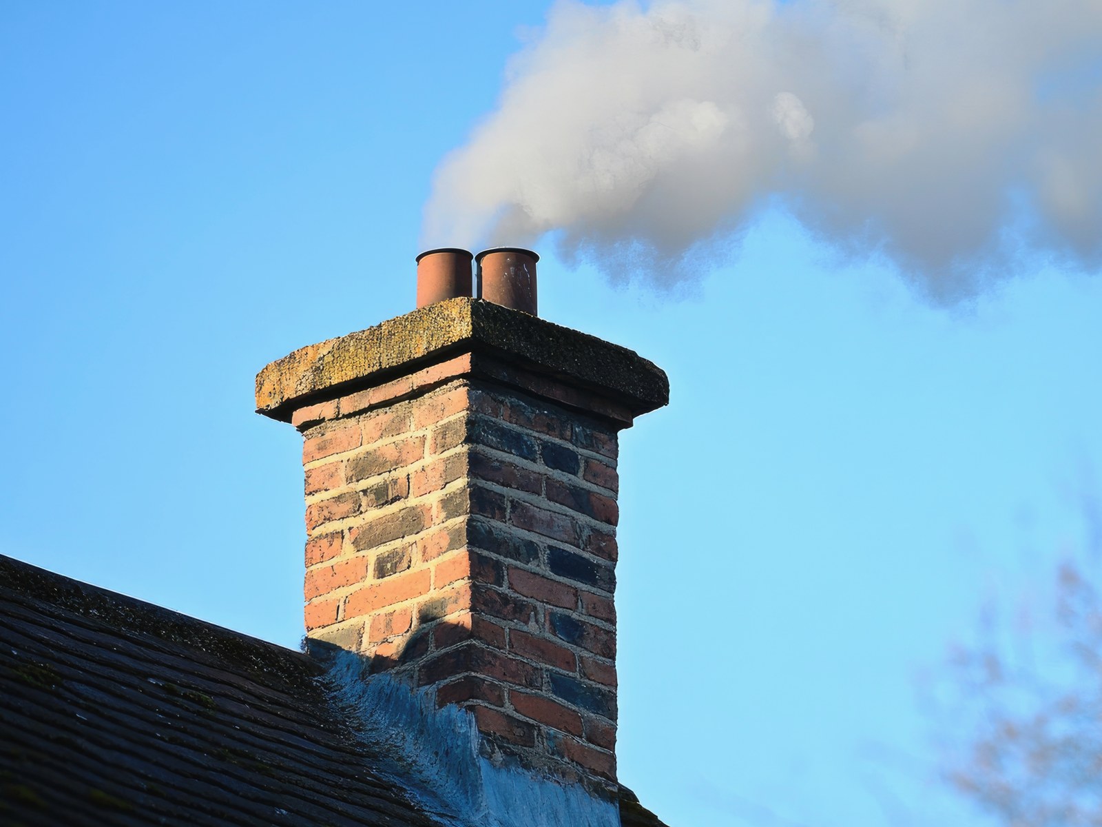TopDog Chimney
