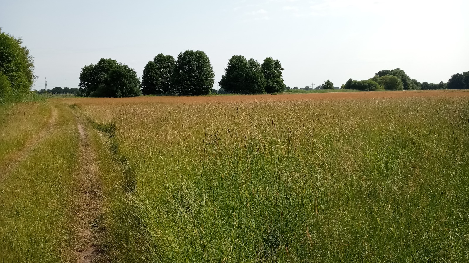 Bilder AUSZEIT An der Aller