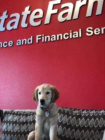 Images Mike Whitford - State Farm Insurance Agent