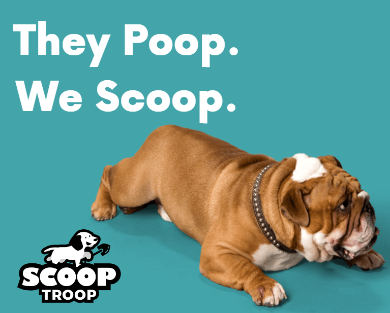 Dogs Poop, We Scoop!