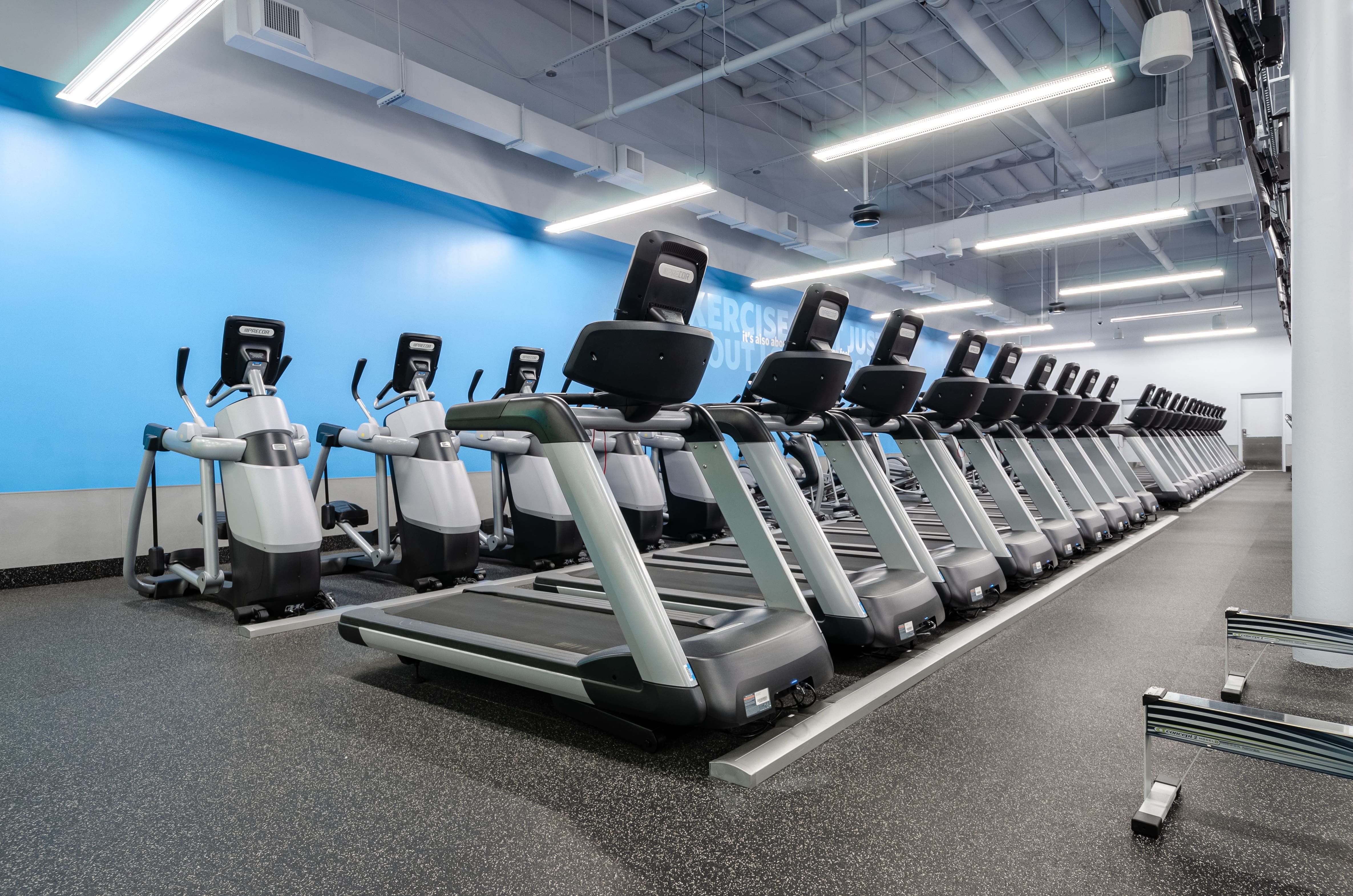 All Blink Fitness Gyms  cardio equipment, strength equipment, gym