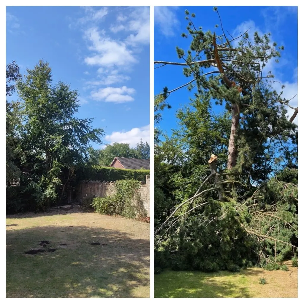 Images P Raitt Garden Maintenance