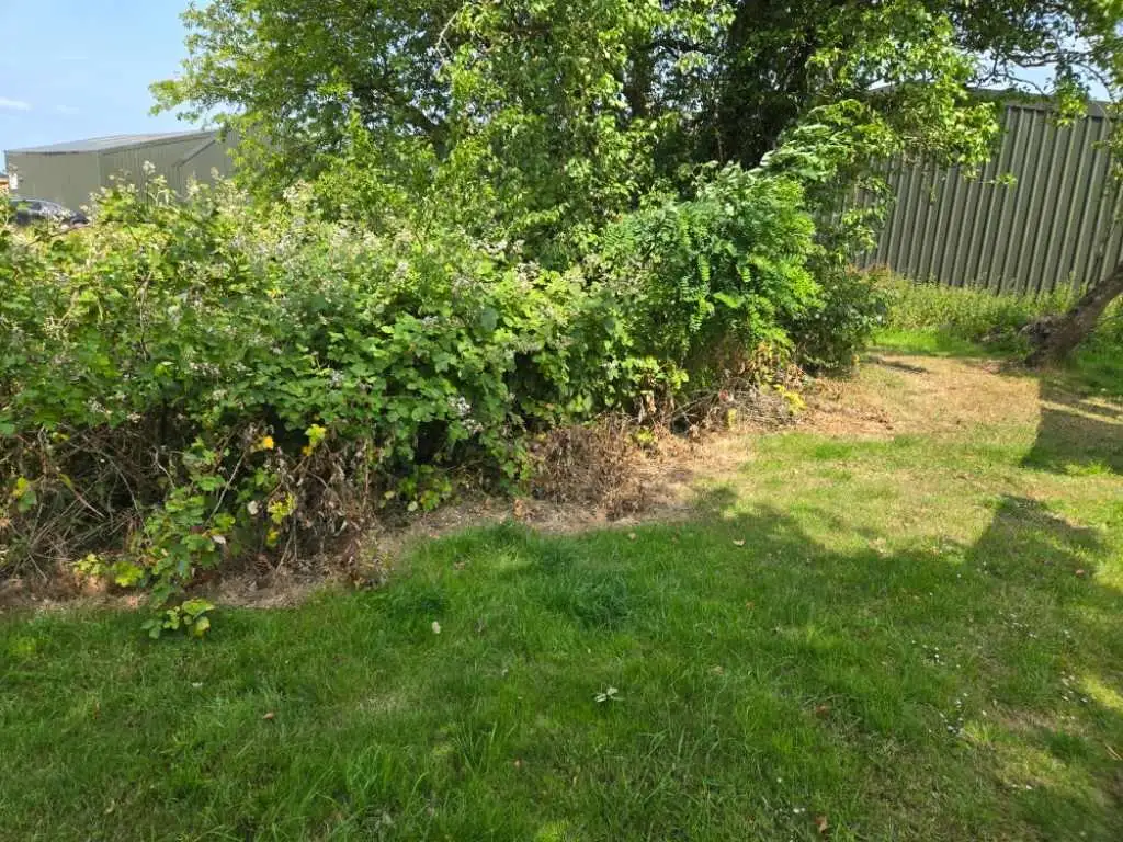 Images J & T Landscaping Ltd