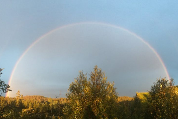 Images Aehealth - Anneche Enerhaugen