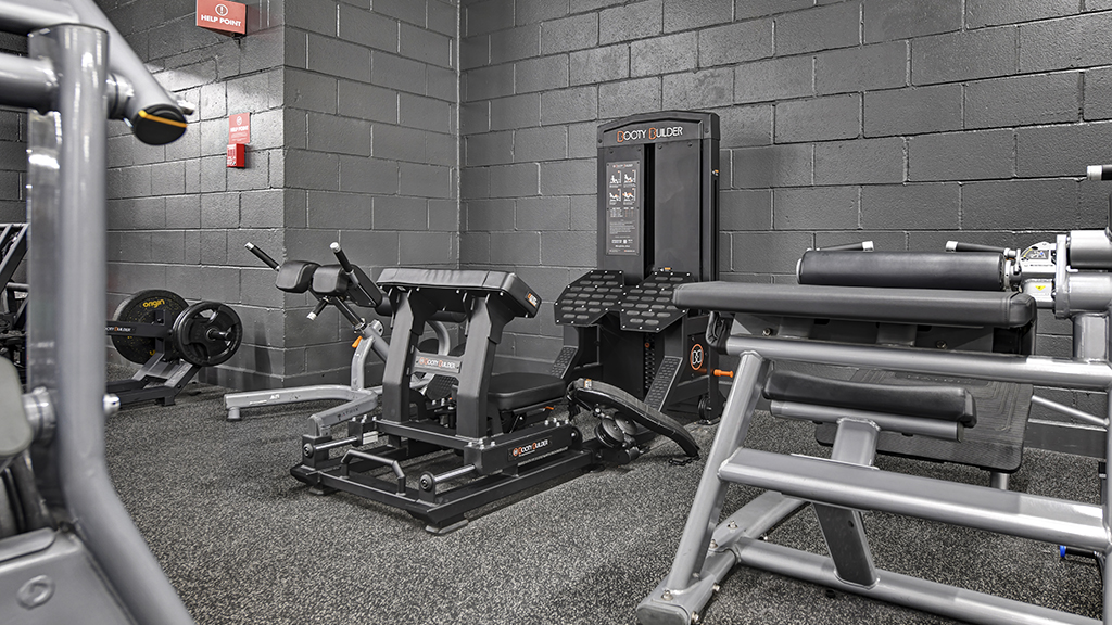 Glutes Area