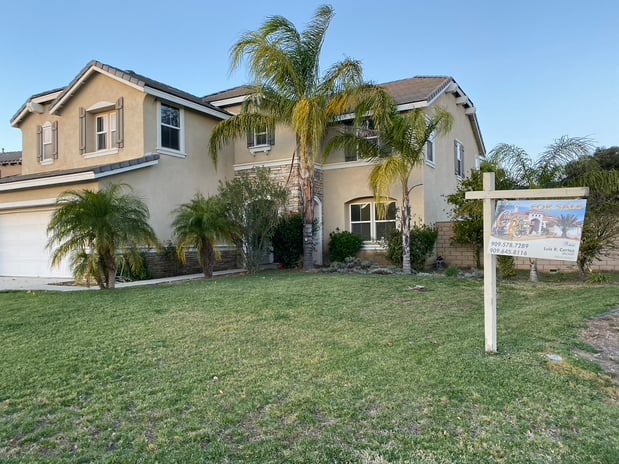 Images Stanton Lewis - Elevate Real Estate Agency