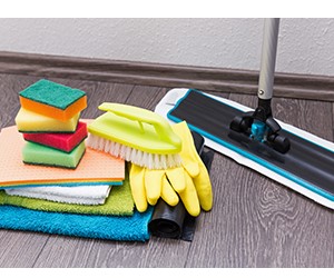 Gloriette Reinigungsdienst GesmbH, Wattgasse 20 in Wien