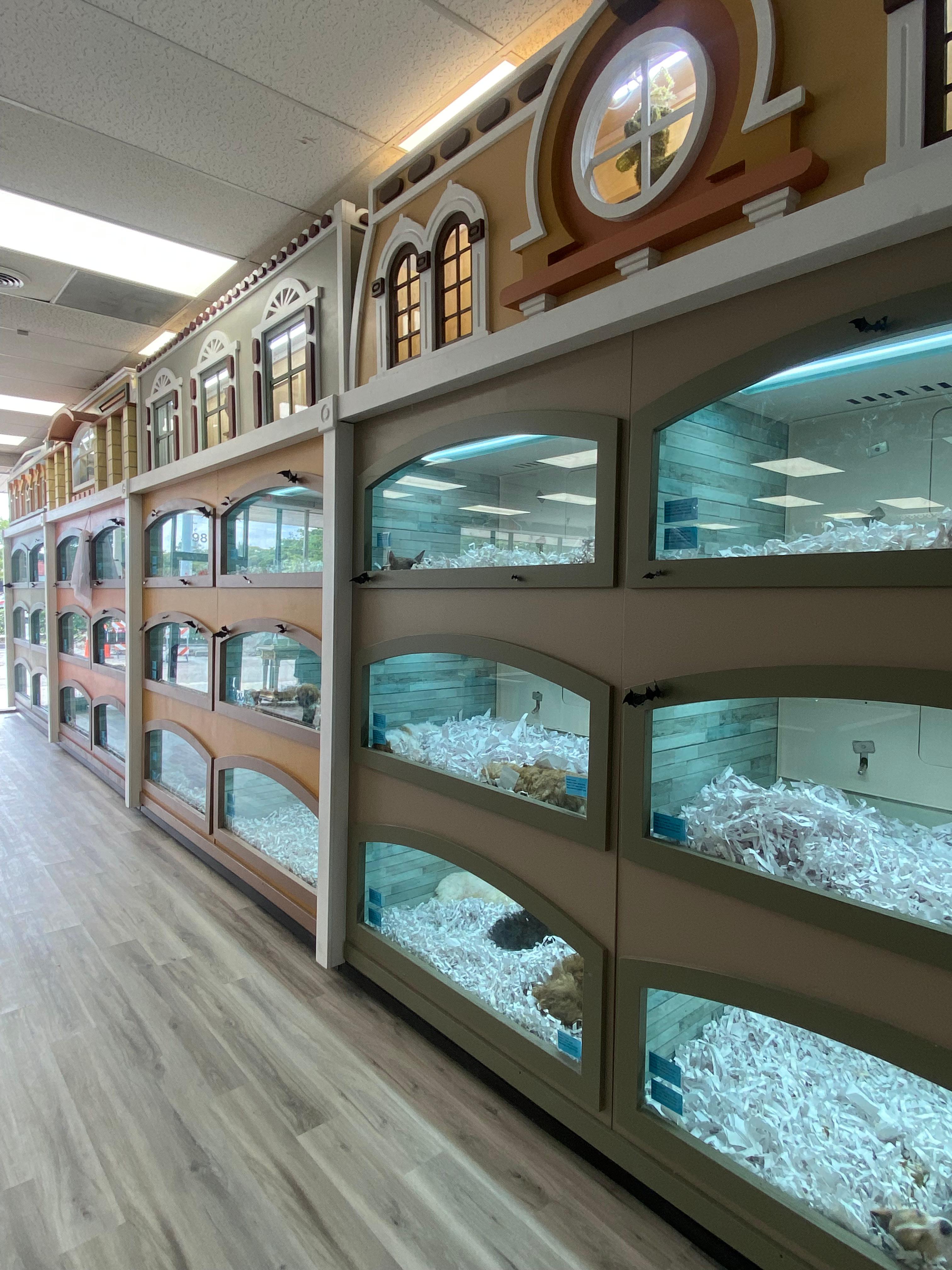 Forever Love Puppies Pembroke Pines