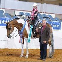 Allegiance Horse Appraisals