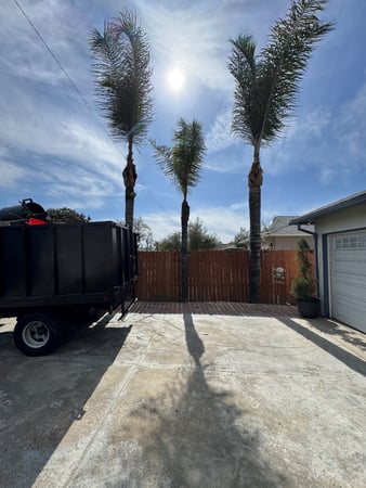 Images Cruz Tree Service