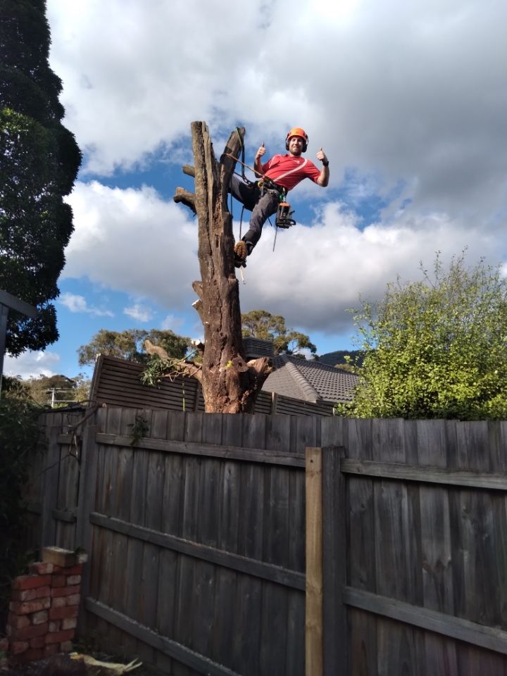 Images Regans Property Maintenance