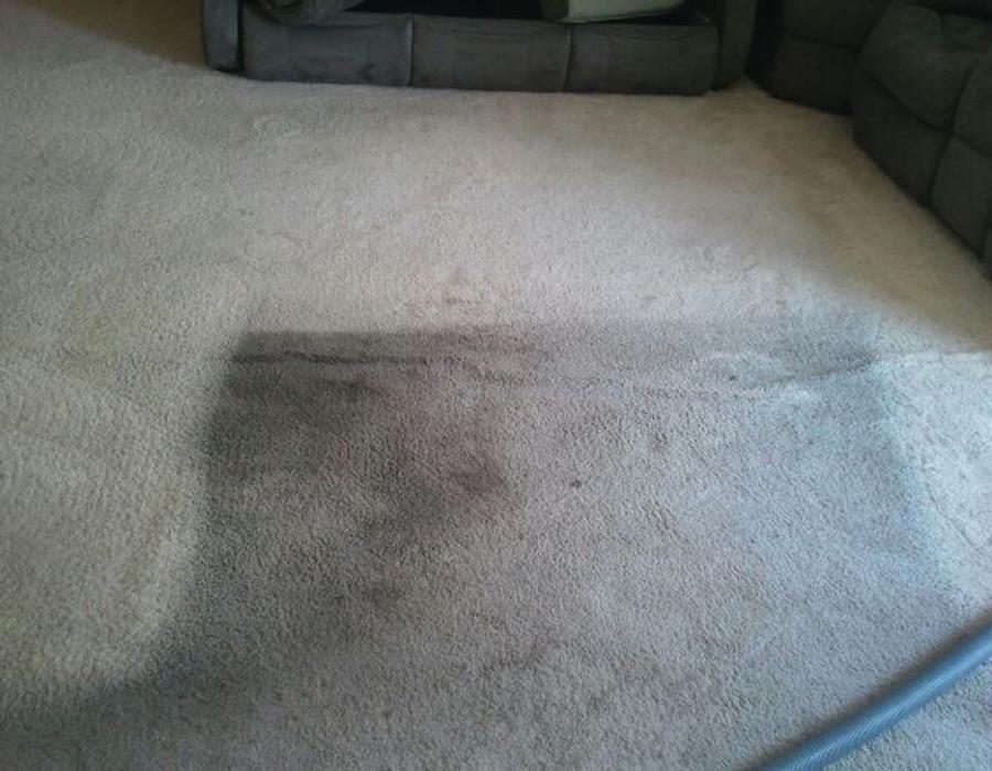 Before and after carpet cleaning in Thousand Oaks