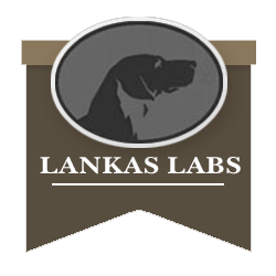 Lankas Labs Logo