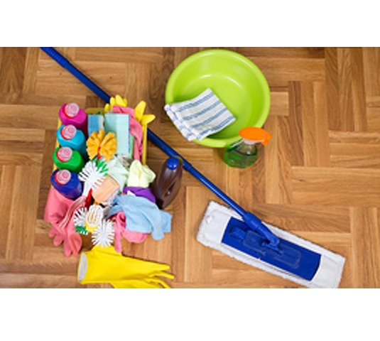 Pro Putz Kausen & König GbR, Werderstraße 20 in Mannheim