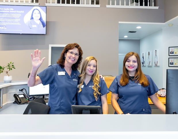 Images VCA Castle Hills Companion Animal Hospital