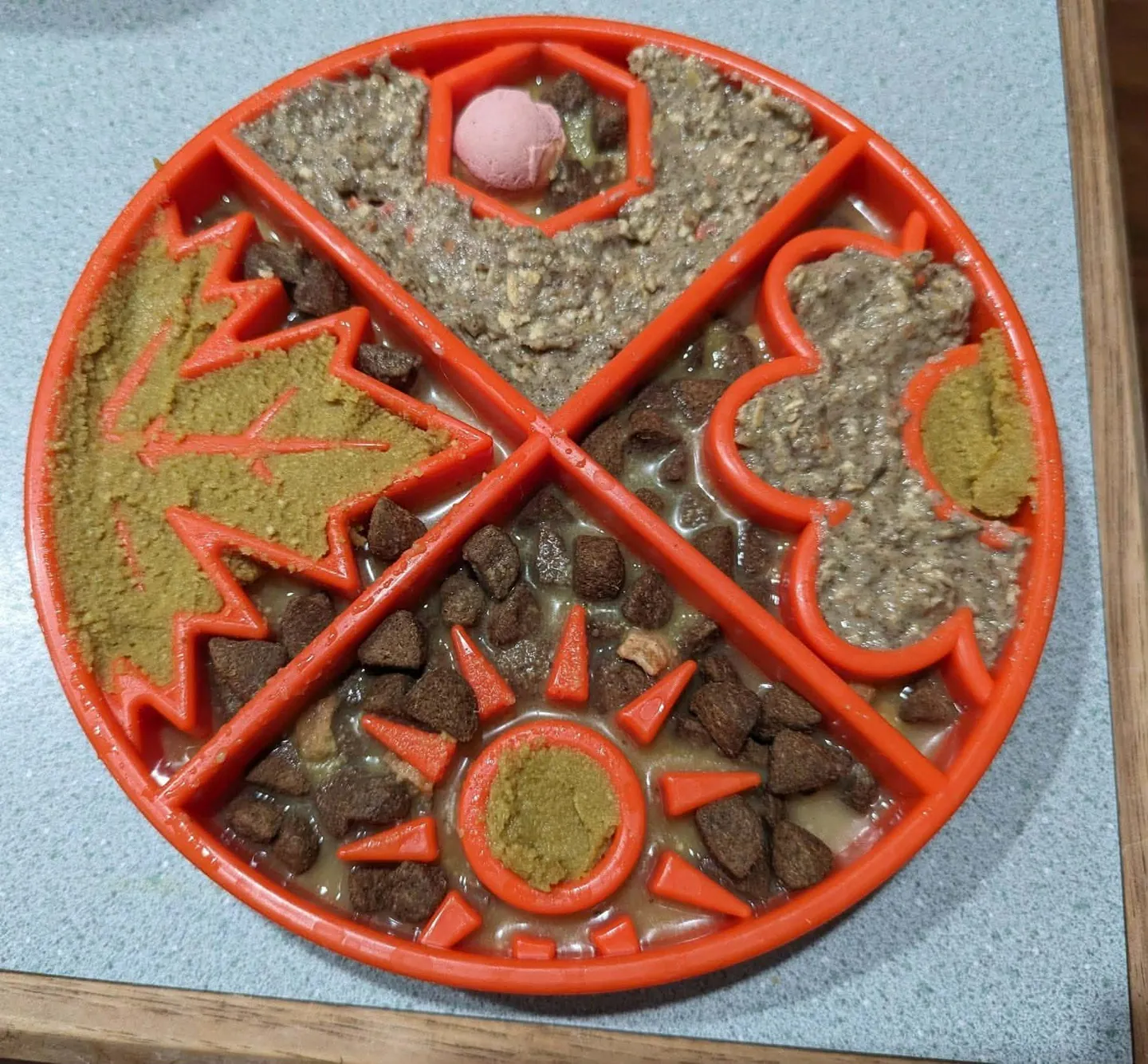 Image of Local Pet Event Enrichment For Every Dog Nearby