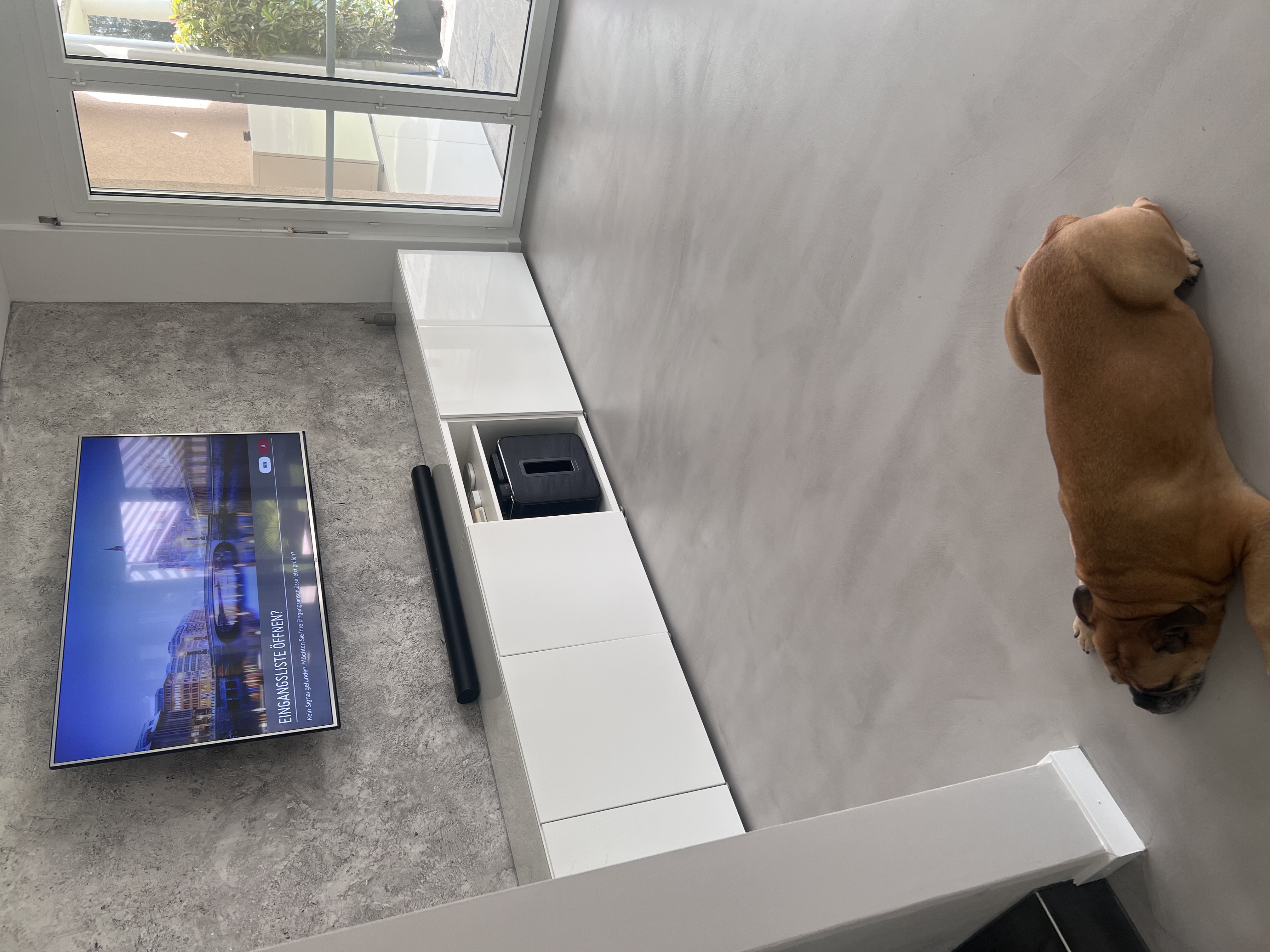 Bilder Wild Malerei AG