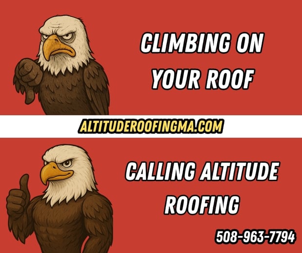 Images Altitude Roofing