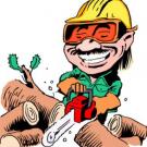 D & S Tree Service