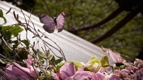 Images Bergqvists Begravningsbyrå