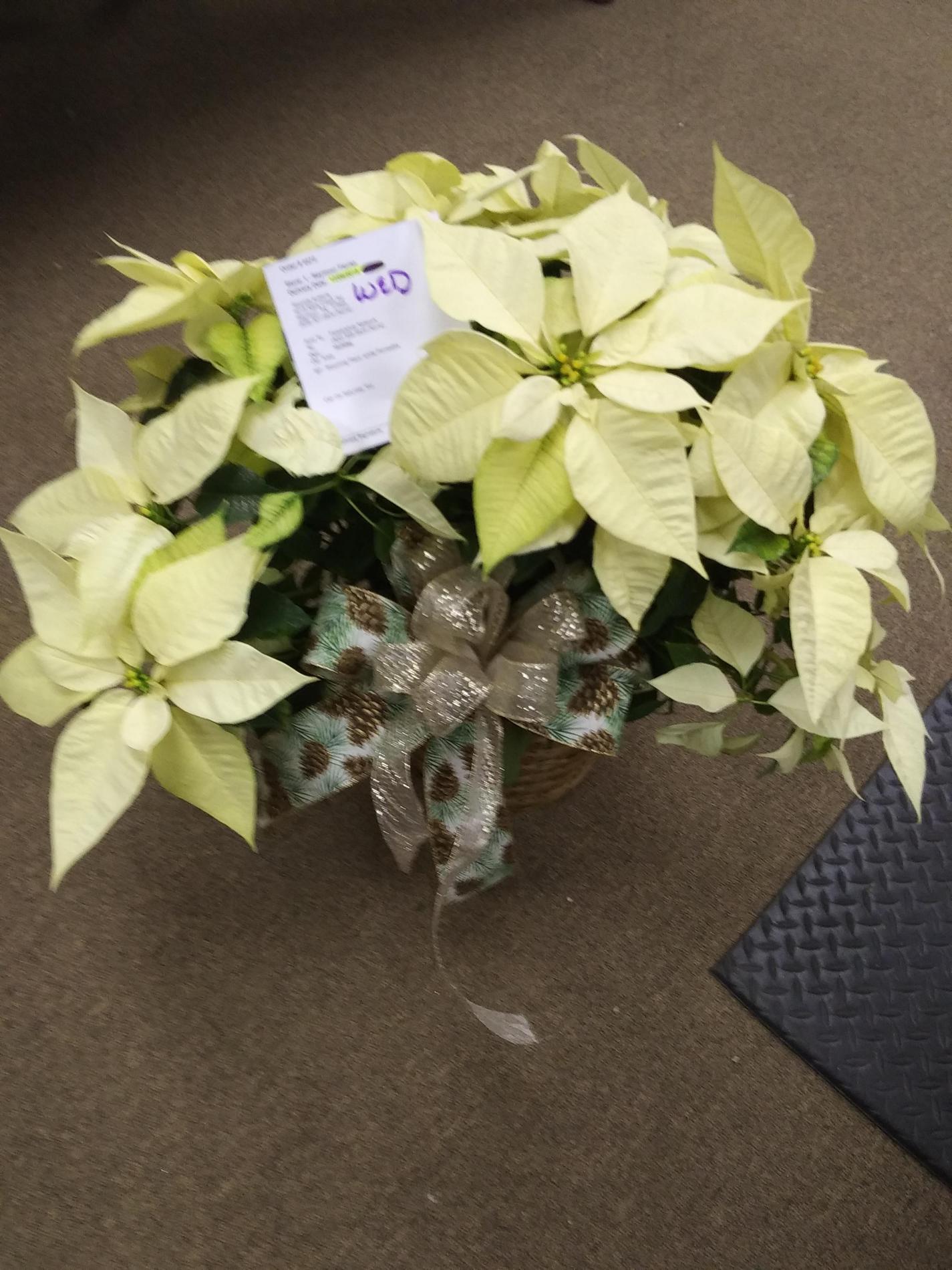Images Seymour Florist