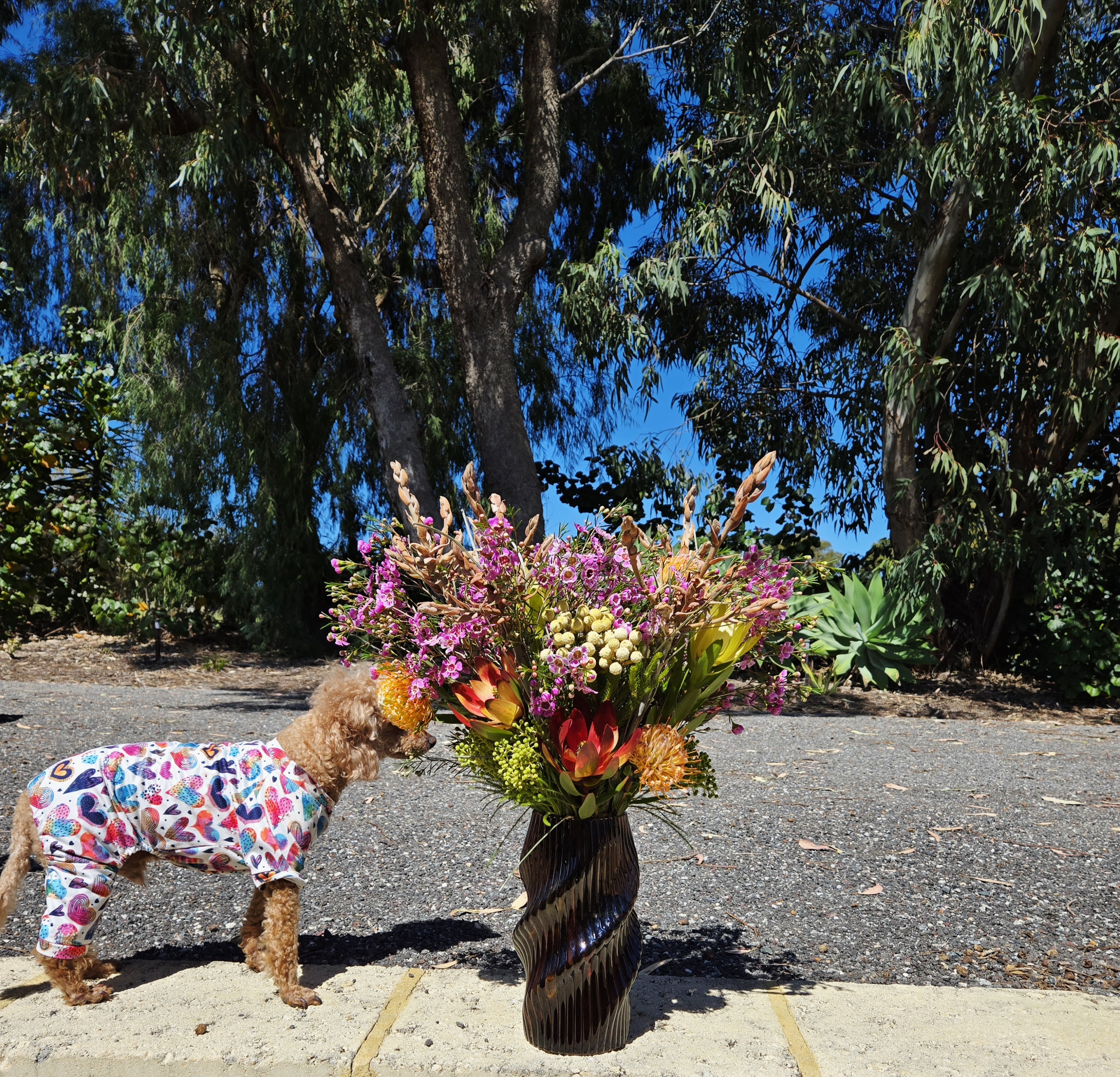 Images The Wild Bunch Florist & Living Gifts