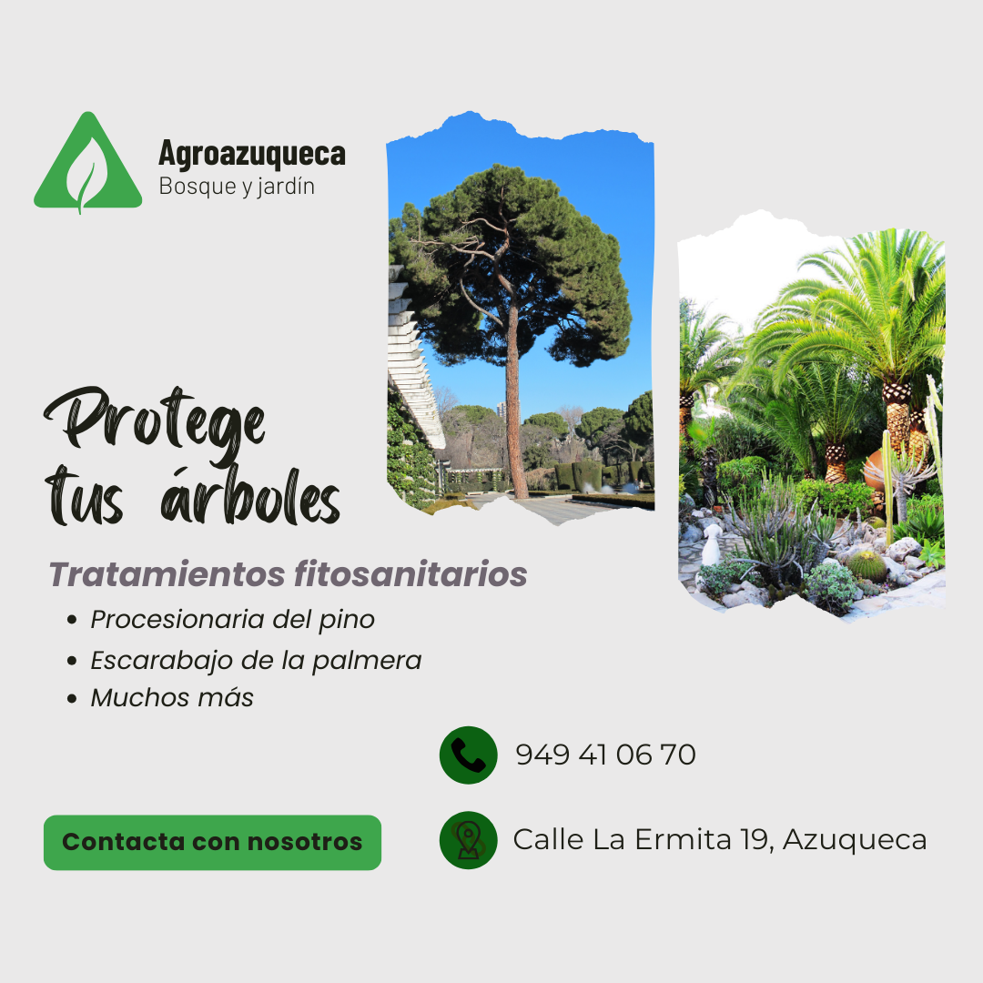 Images Agro Azuqueca