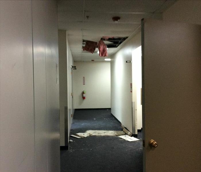 This office had water damage to their ceiling after a roof leak. They called SERVPRO of Jacksonville South to repair the damage. Water damages can cause mold growth in your home or business, therefore it is important to have your water damage cleaned promptly and professionally.