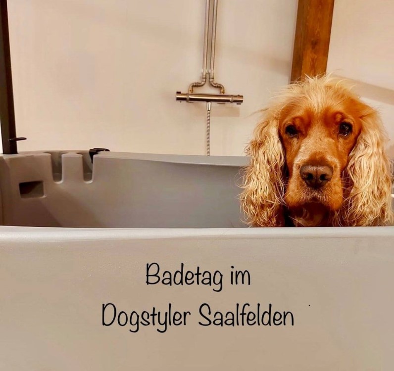 Hundefrisör Saalfelden, Zeller Bundesstraße 17 in Saalfelden am Steinernen Meer