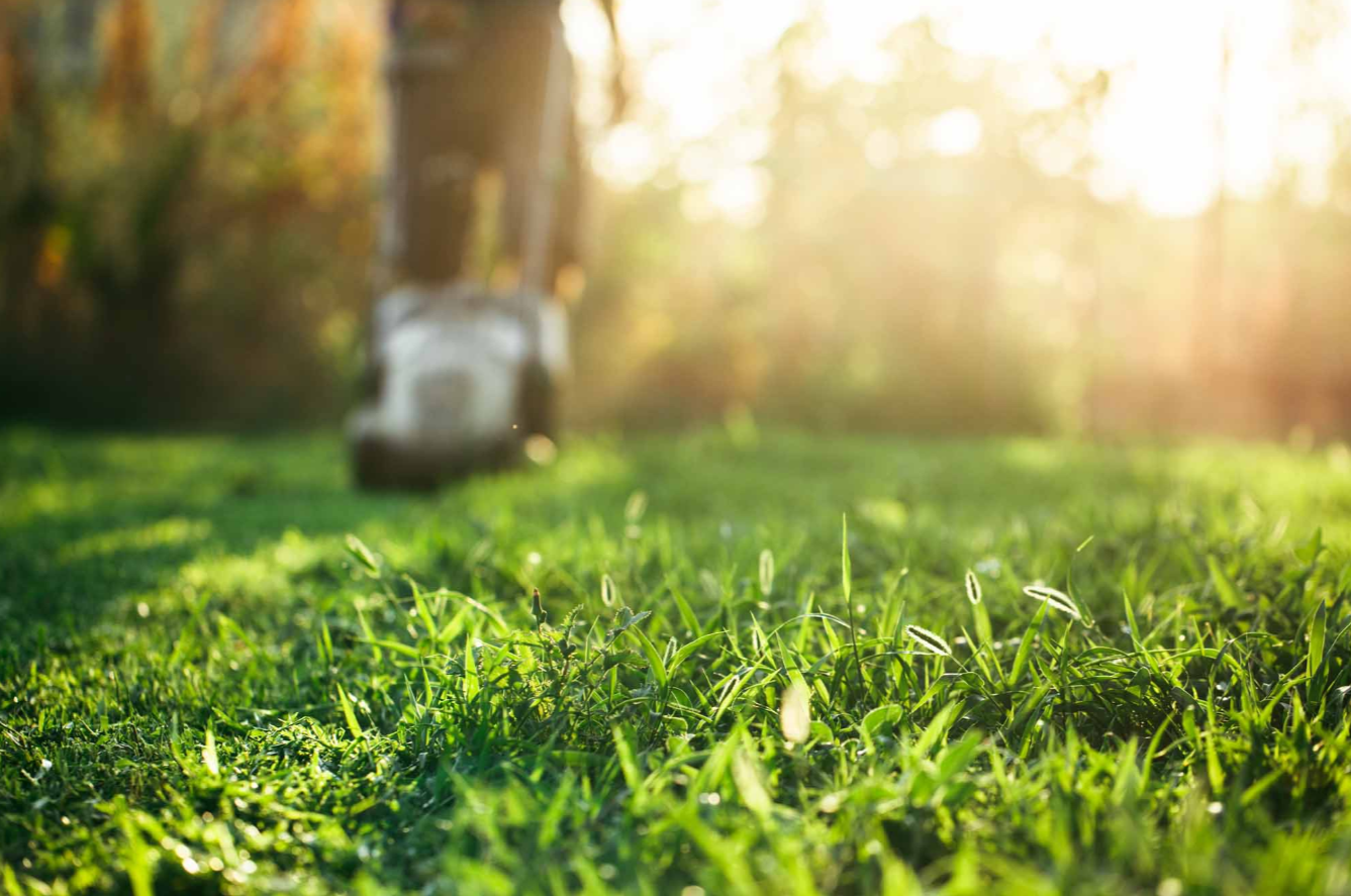 Zimmerberg Reinigung GmbH, Althardstrasse 146 in Regensdorf