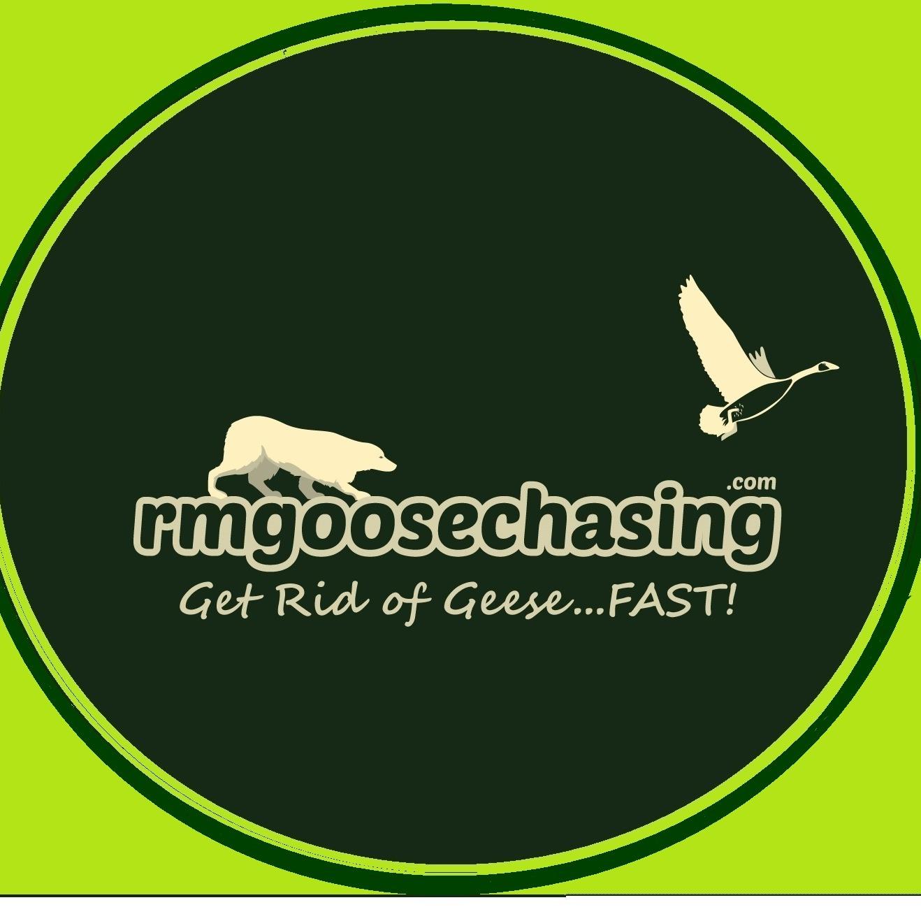 Rescue Me Goose Chasing Logo