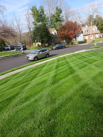 Images Ernesto Property Maintenance LLC