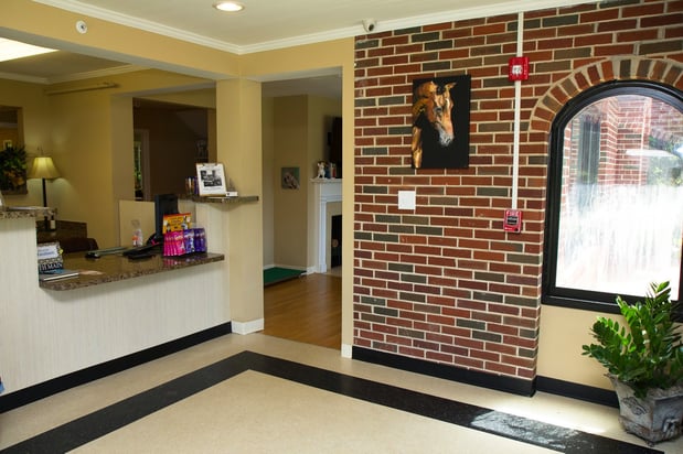 Images North Main Animal Hospital