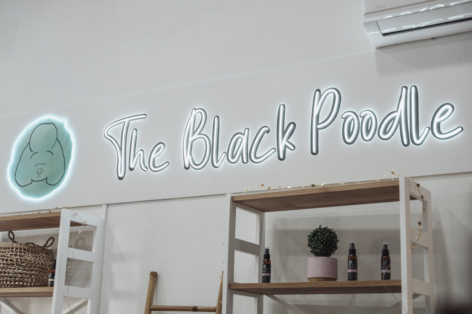 Images The Black Poodle Groom & Care S.L.