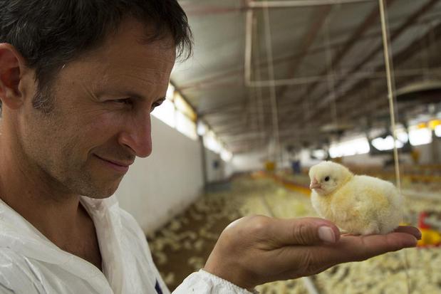 Images Animal Equality