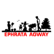 Ephrata Agway Logo
