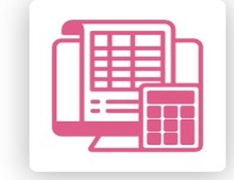 Professional Bookkeeping Services