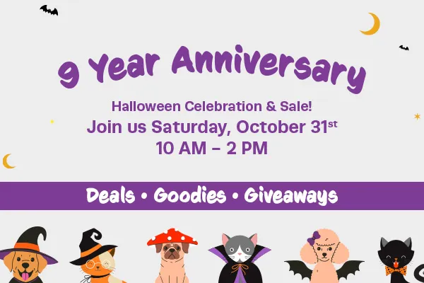 Image of Local Pet Event Fetching Dog’s 9th Anniversary & Halloween Celebration Nearby