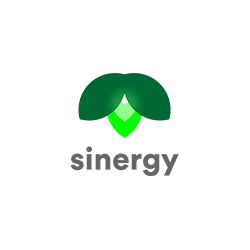 Grupo Sinergy Logo