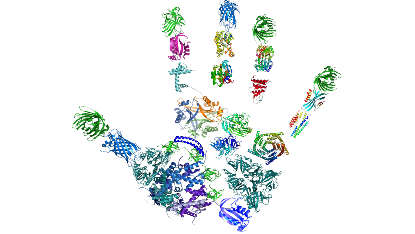 protexam GmbH in Hannover