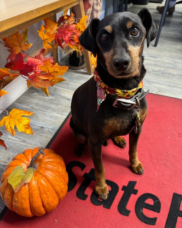 Images Jimmy Alvarez - State Farm Insurance Agent