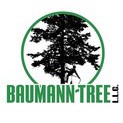 Baumann Tree Logo