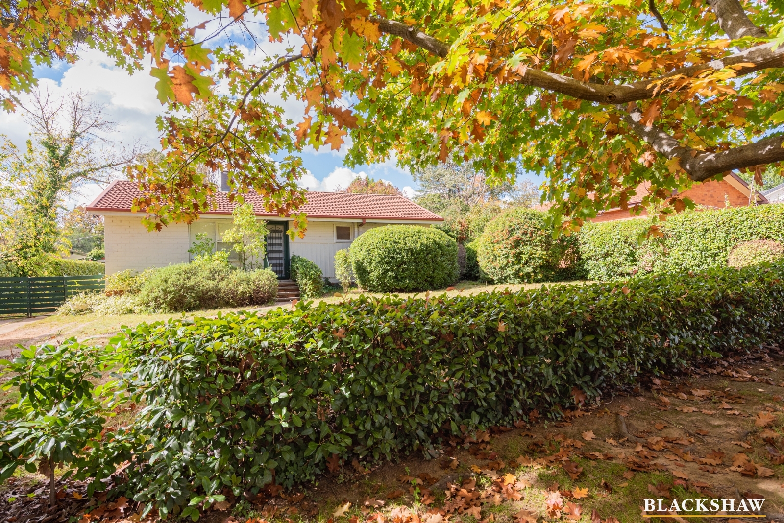 Images Blackshaw Real Estate Tuggeranong