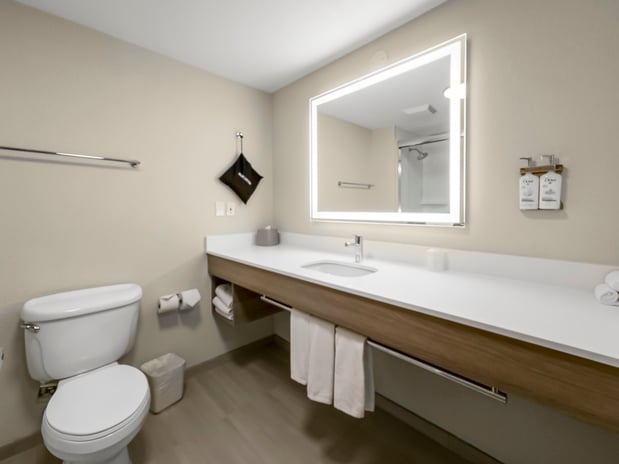 Images Holiday Inn Express Salt Lake City South-Midvale by IHG