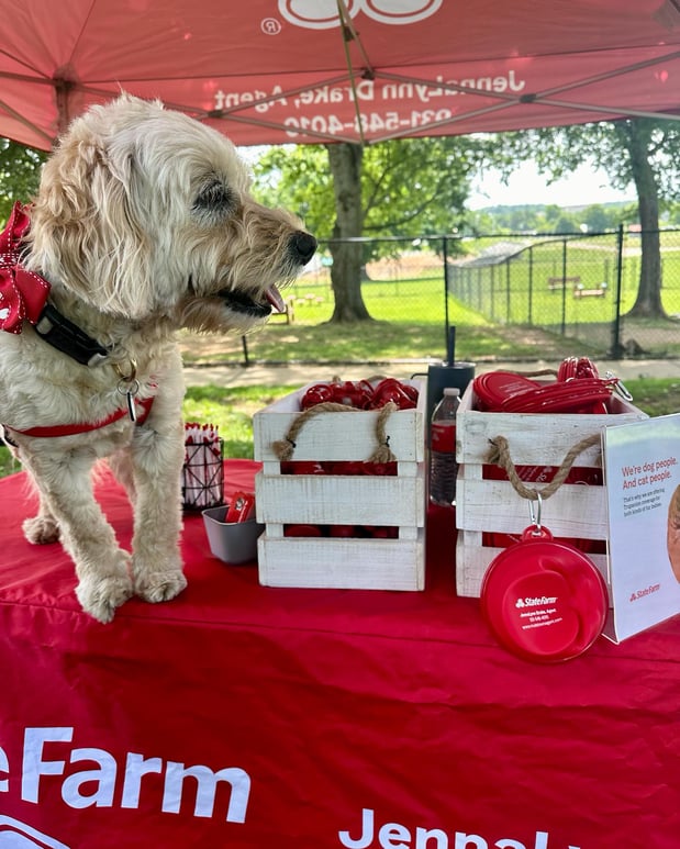 Images JennaLynn Drake - State Farm Insurance Agent