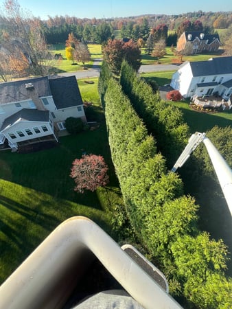 Images O'Brien Outdoors Tree Service