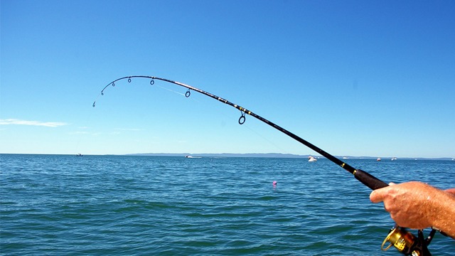 Images AB Kinnekulle Camping & Stugby